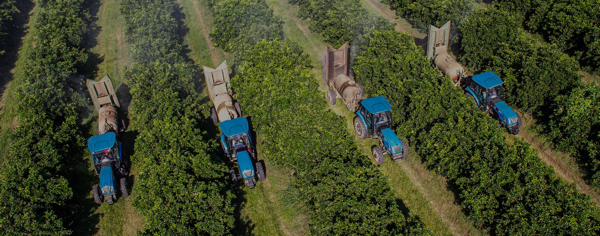 Imgtopofinanciamento